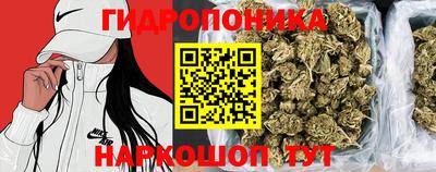 спайс Будённовск