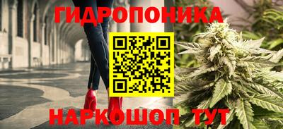 спайс Будённовск
