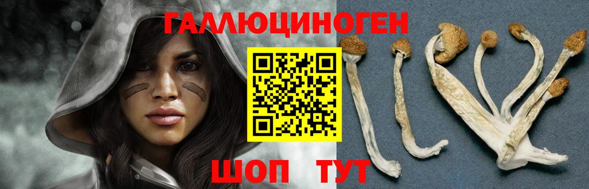 Псилоцибиновые грибы Magic Shrooms  Вход с VPN  Пермь 